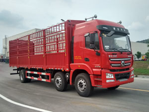 倉(cāng)柵式8-9.6米載貨車全解析 圖片、參數(shù)、對(duì)比與報(bào)價(jià)指南
